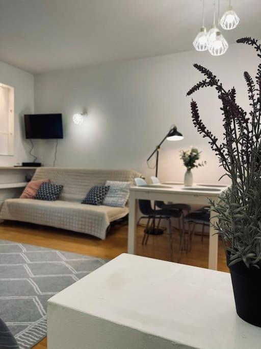 Shiraz Garden Apartment Warsaw